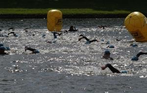55736fb43ee46_photo1.JPG